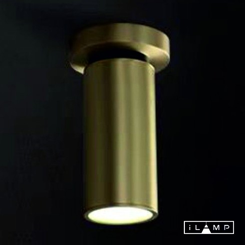Настенно-потолочный светильник iLamp PLUM 8861C BRASS&BLACK